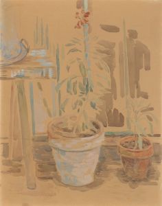 Flowers in pots