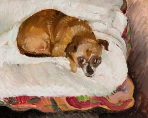 Lying dog