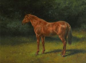 L’oseille Rouge