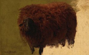 Large Wooly Sheep