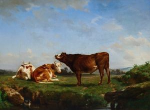 Trois vaches au pâturage