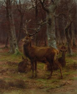 Cerf et biches dans la forêt, automne