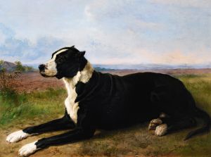 Portrait Of A Mastiff-Labrador In A Landscape