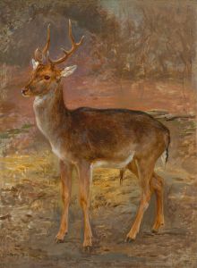 Cerf