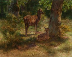 Les Cerfs Et Les Fauves Dans Un Bois