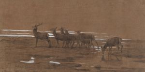 The leading stag