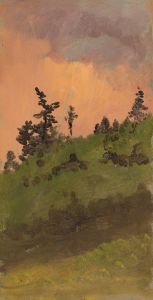 Landscape at woods