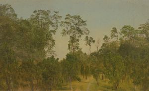 Landscapes