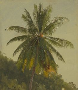 Palm Trees, West Indies