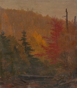 Probably near Katahdin, autumn
