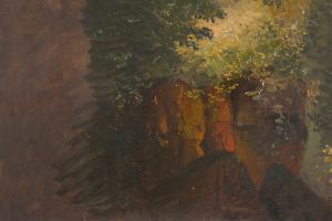 Woodland scene with rocks