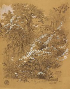 Woodland Scene, Goat Island, Niagara River, New York