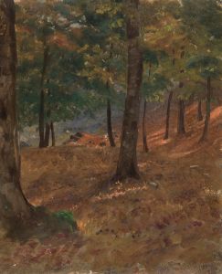 Woodland Scene