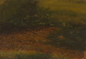 Woodland stream in the Catskills