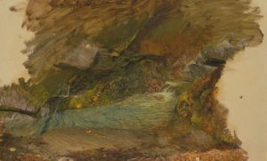 Woodland stream