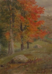 Woods in autumn