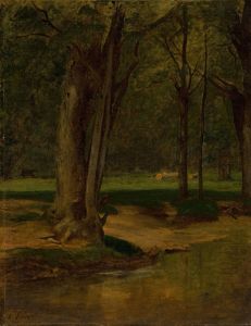 Trout Stream, North Conway