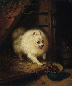 An Unwelcome Intruder