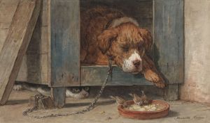 Kat bespiedt vogels bij een slapende hond