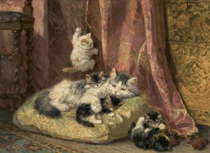 Kittens at Play