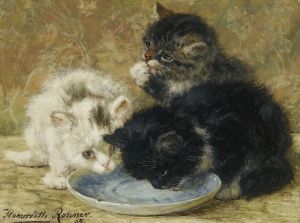 Three kittens