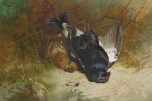 Still Life Of A Pair Of Blackgame