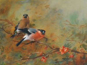 Bullfinches And Pyrus Japonica