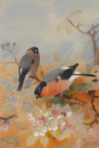 Bullfinches