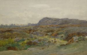 Moorland Landscape