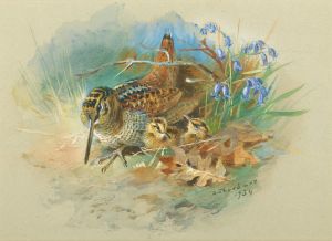 Woodcock and Young