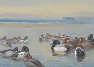 Ducks Along The Shoreline