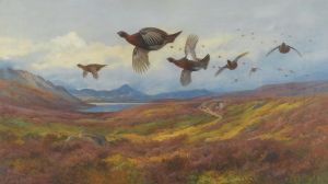 Swerving From The Guns-Red Grouse