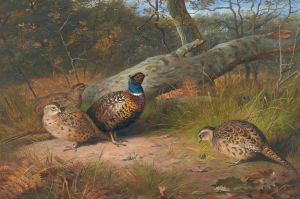 The Fallen Beech- A Cock And Three Hen Pheasants With A Wasp
