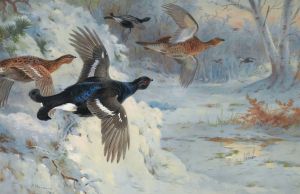 Through The Snowy Coverts-Blackgame