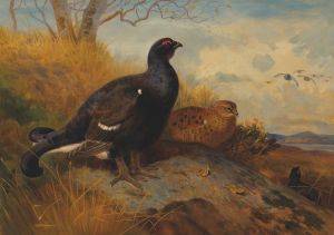 Blackgame on a rocky outcrop, with a loch beyond