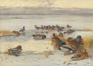 Mallard and teal on a snowy marsh