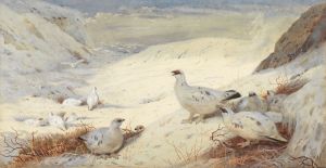 Ptarmigan in winter plumage signed and dated ‘Archibald Thorburn. 1899