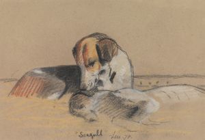 Hounds; Seagull