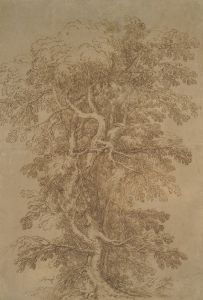 A Large Tree