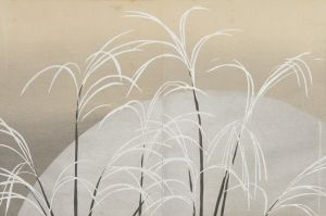 Pampas Grass in Moonlight