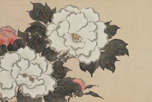 Peonies