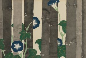 Morning Glories
