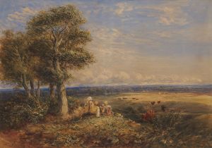 The Skylark