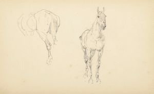Étude de chevaux