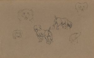 Études de chiens