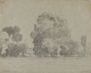 Grove of Trees