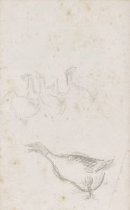Etude d’oies