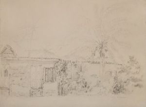 Houses and Palm Trees