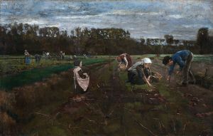 Potato Harvest