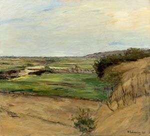 Dünenlandschaft